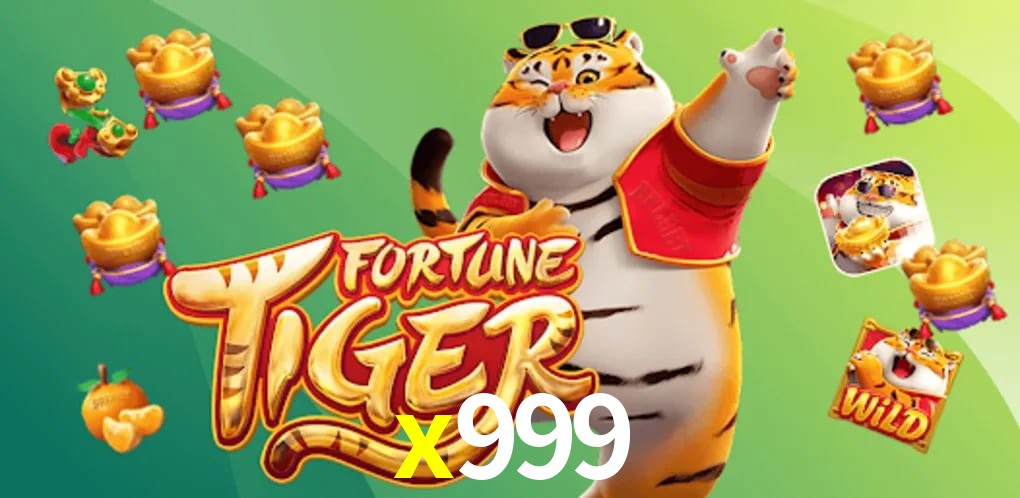 Experiência VIP x999